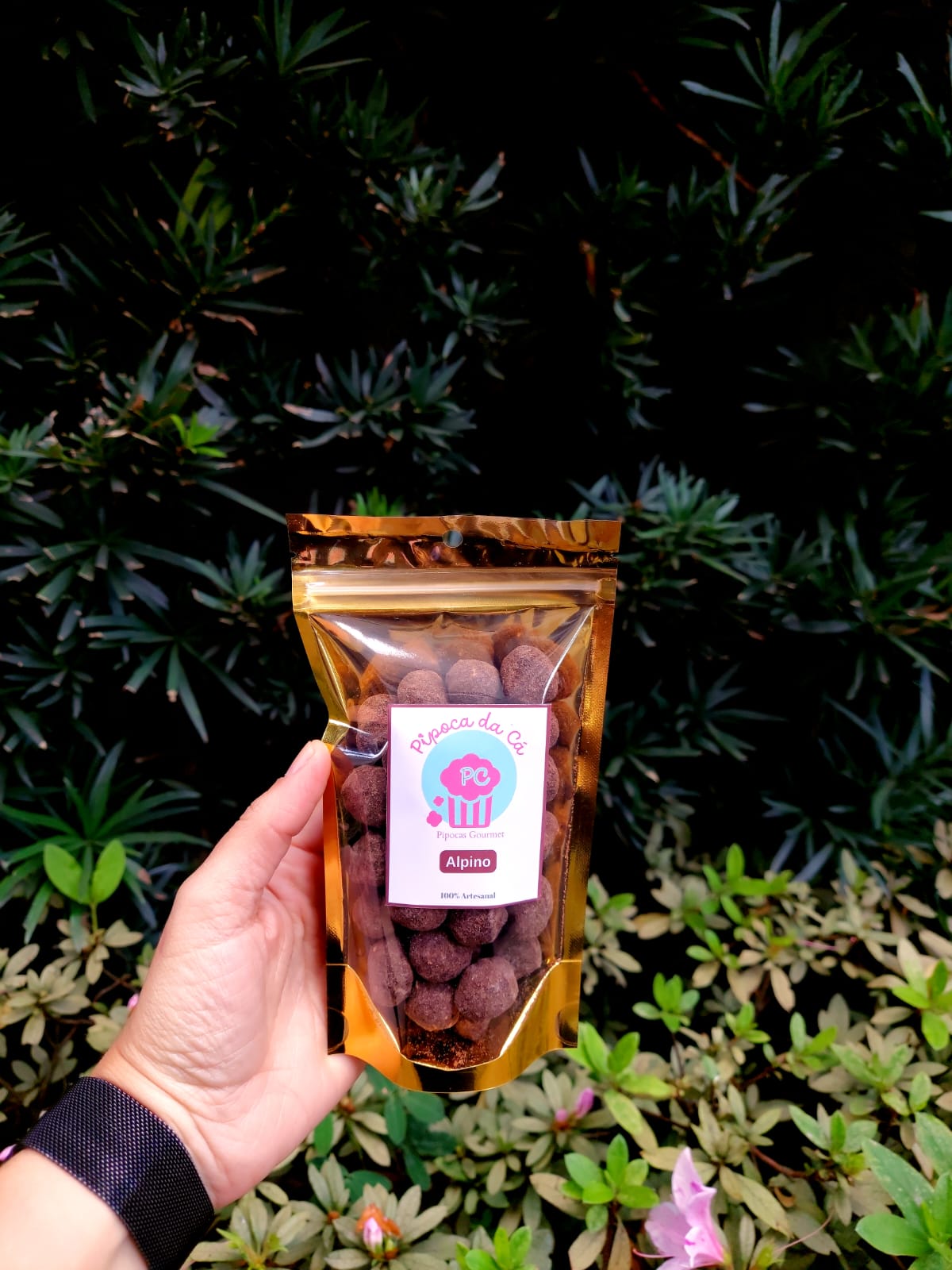 Pipoca Gourmet Alpino